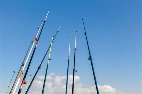How to Pick the Perfect Fishing Rod Length: Tips for Optimal .